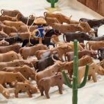 A la conquête de l'Ouest